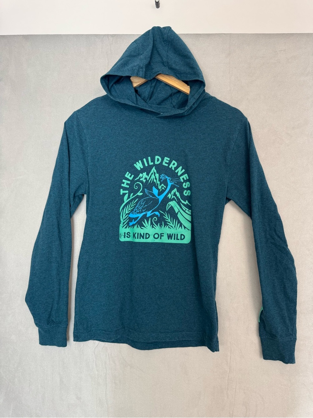 Disney Pixar Up Adult XS Teal Wilderness Graphic Lightweight Hoodie